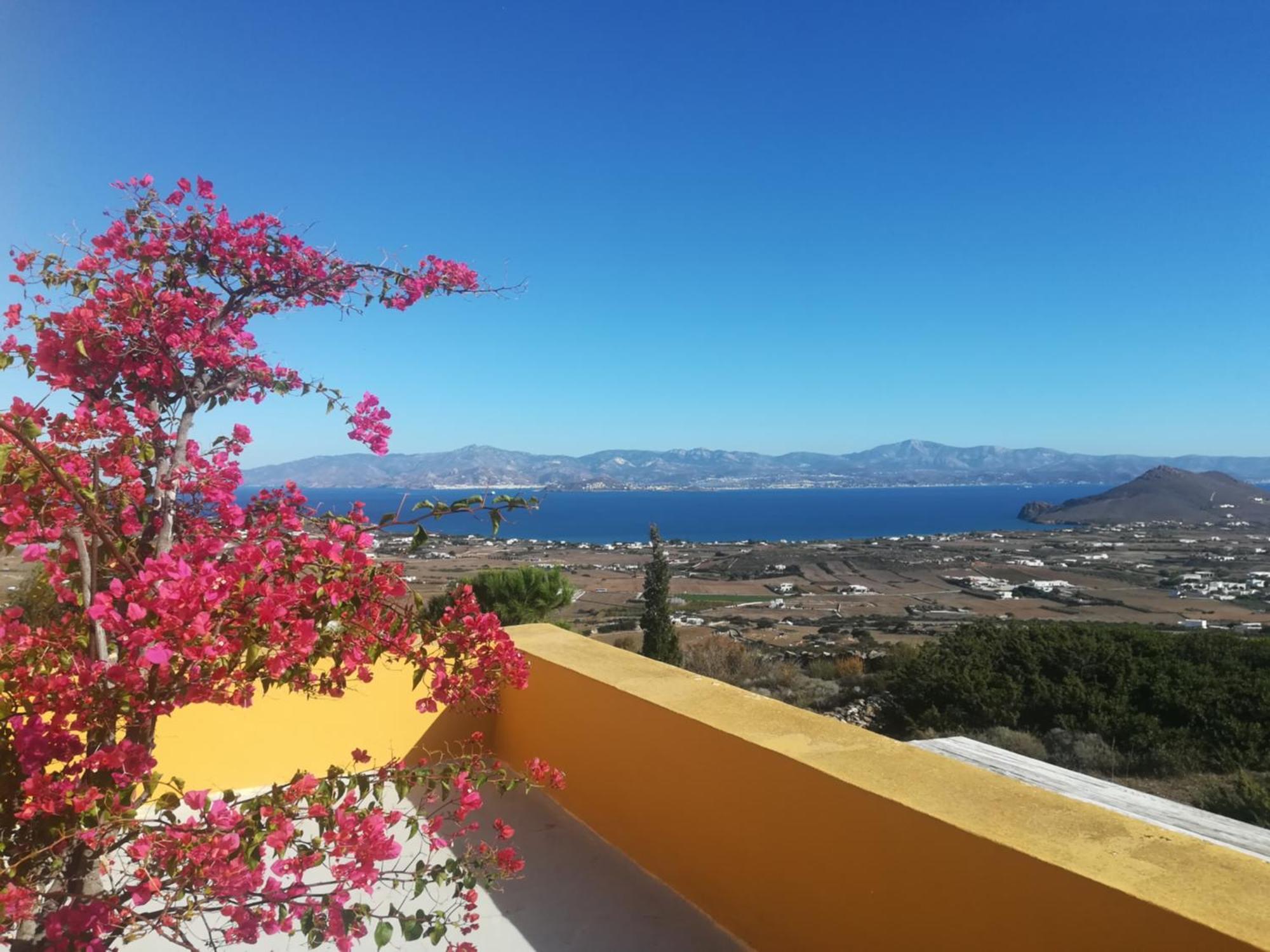Bralos Villa - Paros, Sea View Kostos Екстериор снимка